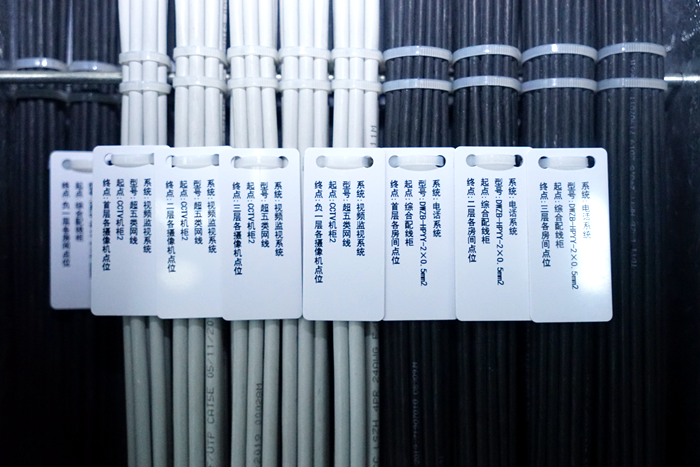 图1：样板段工程简图 (2)_副本.png