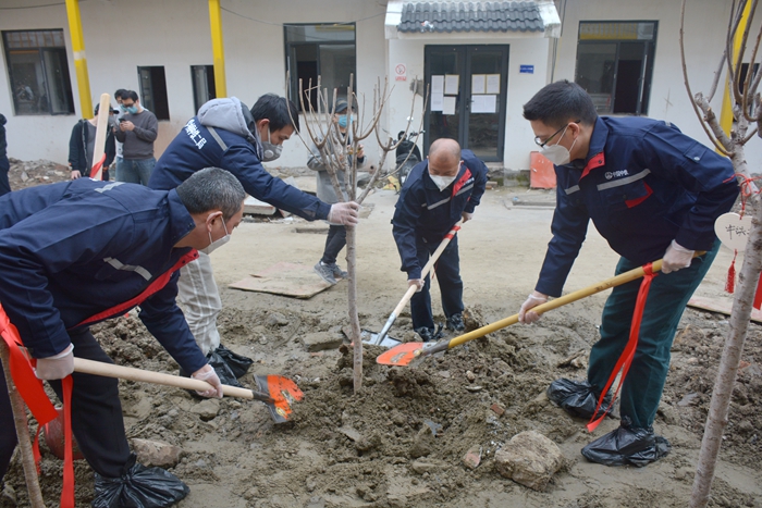 图2：栽种树苗_副本.jpg