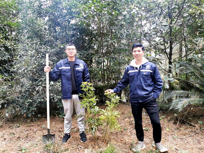 图三 兄弟树_副本.jpg