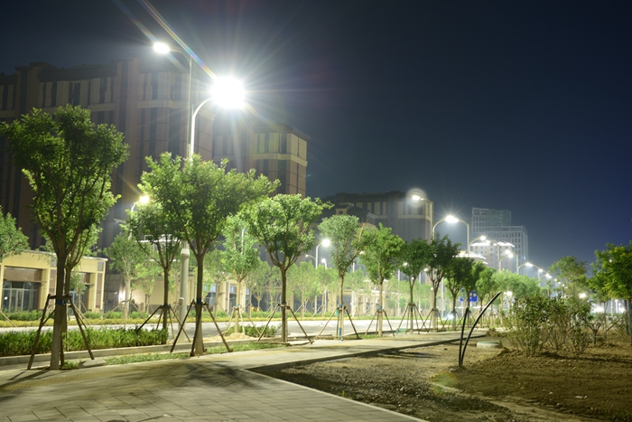 图2：点亮路灯 (2) - 副本.JPG